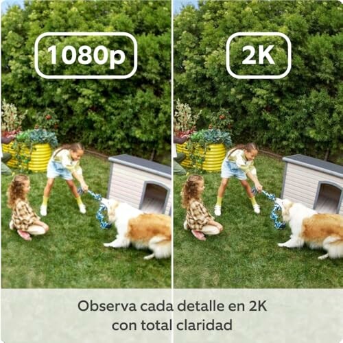 Niñas jugando con perro en jardín, comparación de calidad 1080p y 2K.